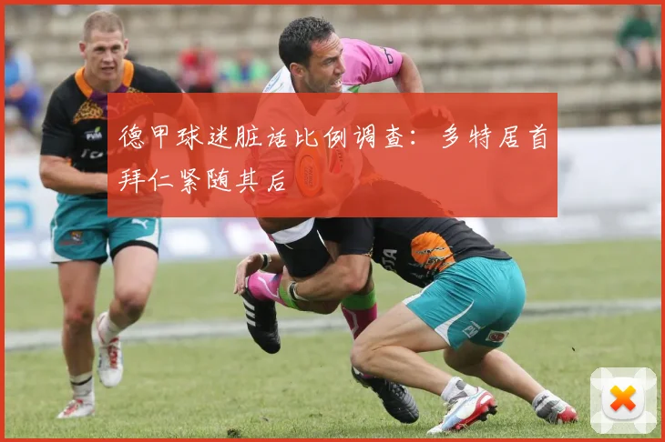德甲球迷脏话比例调查：多特居首拜仁紧随其后