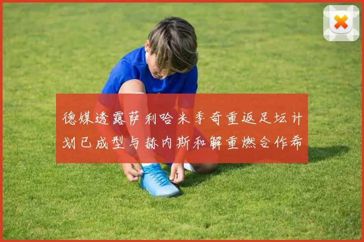 德媒透露萨利哈米季奇重返足坛计划已成型与赫内斯和解重燃合作希望