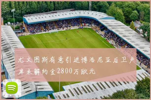 尤文图斯有意引进博洛尼亚后卫卢库米解约金2800万欧元