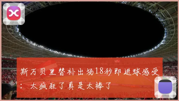 斯万贝里替补出场18秒即进球感受：太疯狂了真是太棒了